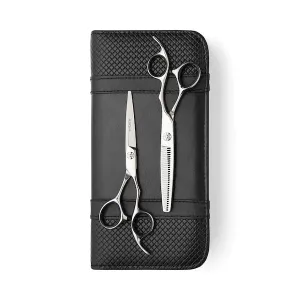 Matsui VG10 Lightweight Silver Shear and Thinning Shear Combo