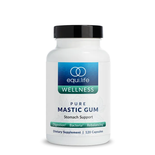 Pure Mastic Gum