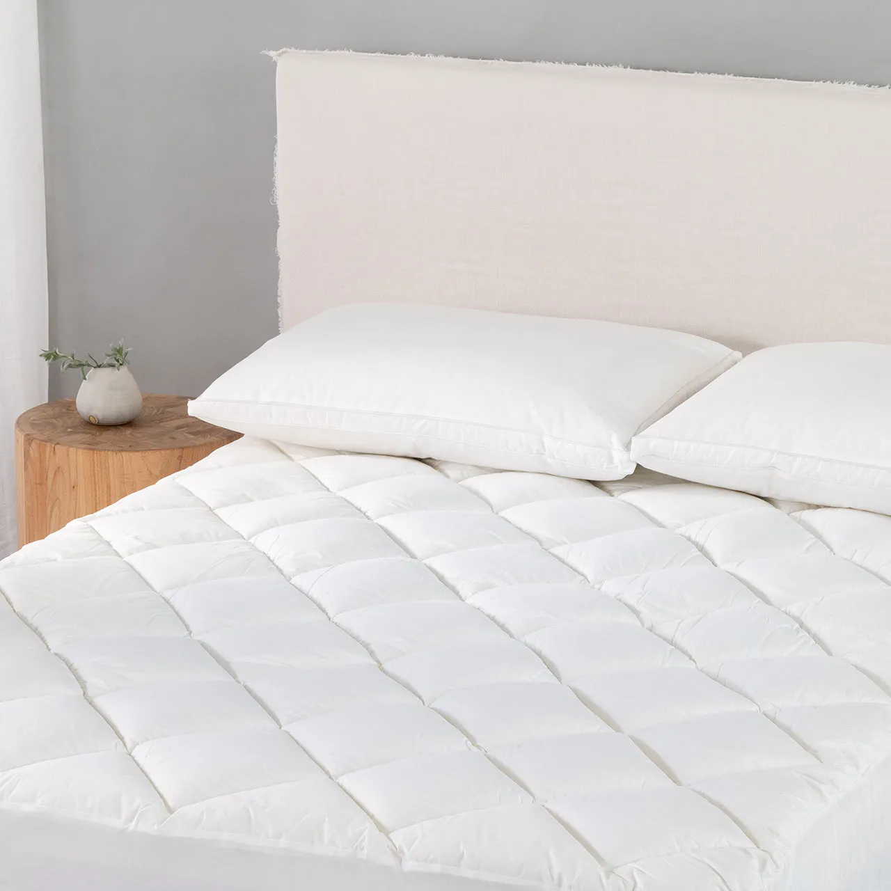 Robinsons Premium Mattress Topper Core Collection (Anti-Bacterial, Hypoallergenic, Bed Topper, Futon Overlay)