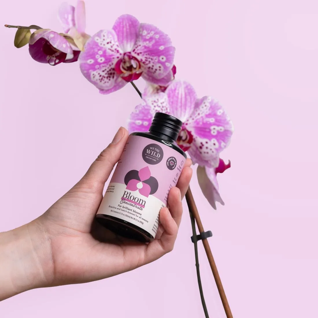 We The Wild Orchid Care Duo