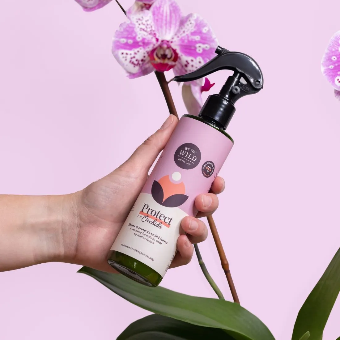 We The Wild Orchid Care Duo